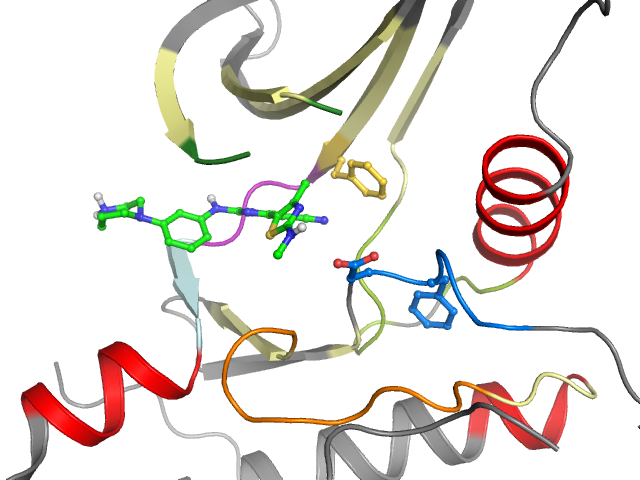 The orthosteric binding pocket