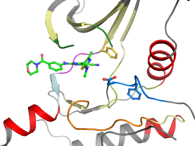 The orthosteric binding pocket