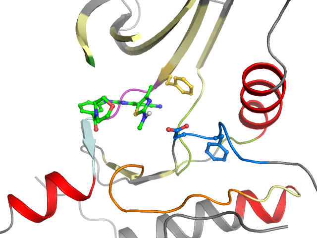 The orthosteric binding pocket