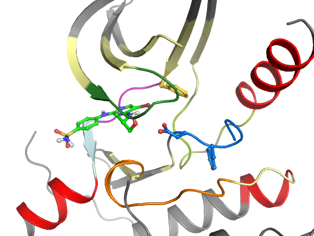 The orthosteric binding pocket