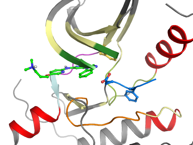 The orthosteric binding pocket
