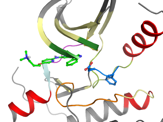 The orthosteric binding pocket