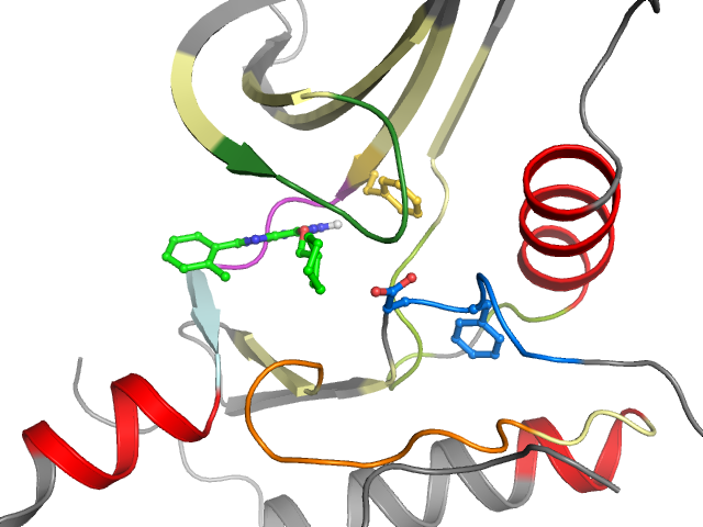 The orthosteric binding pocket