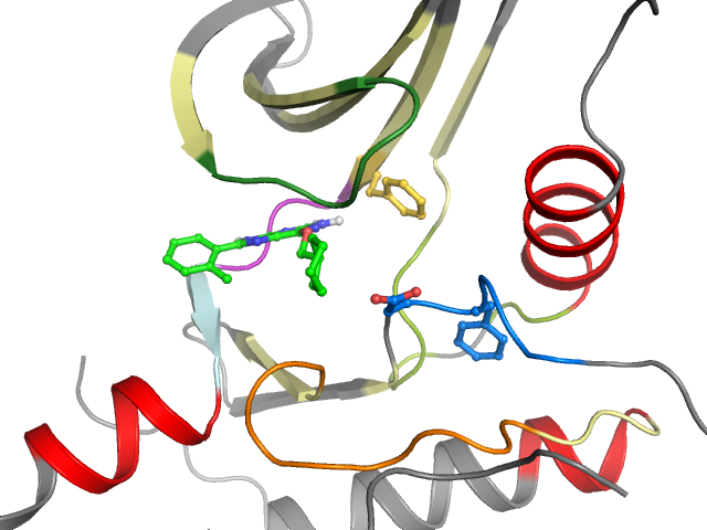 The orthosteric binding pocket