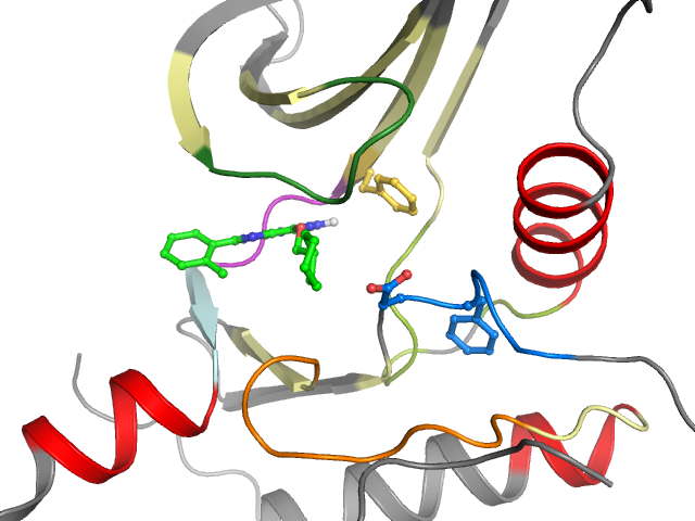 The orthosteric binding pocket
