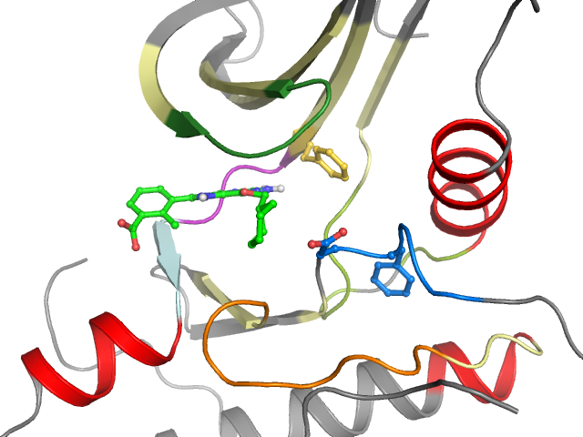 The orthosteric binding pocket