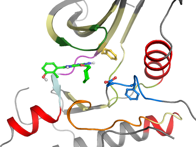 The orthosteric binding pocket