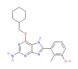 2D structure of the orthosteric ligand
