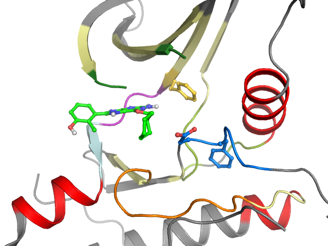 The orthosteric binding pocket