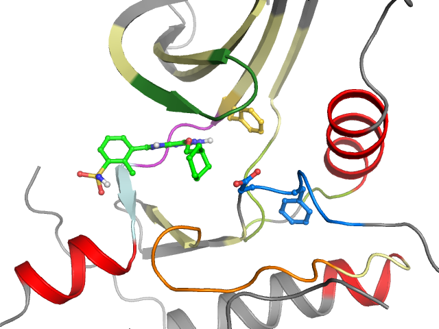 The orthosteric binding pocket
