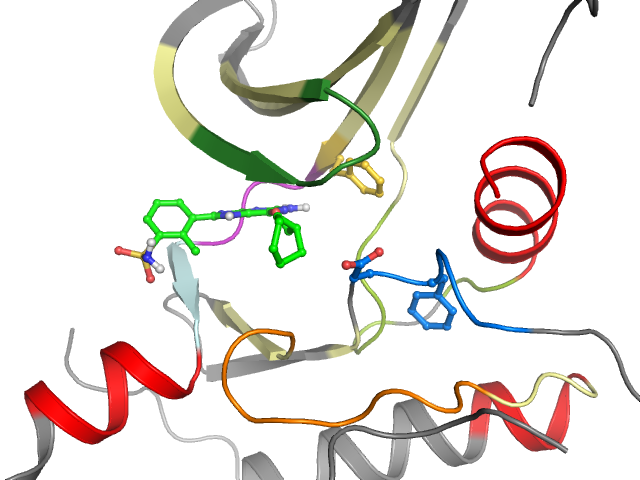 The orthosteric binding pocket