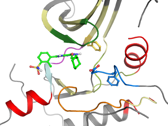 The orthosteric binding pocket