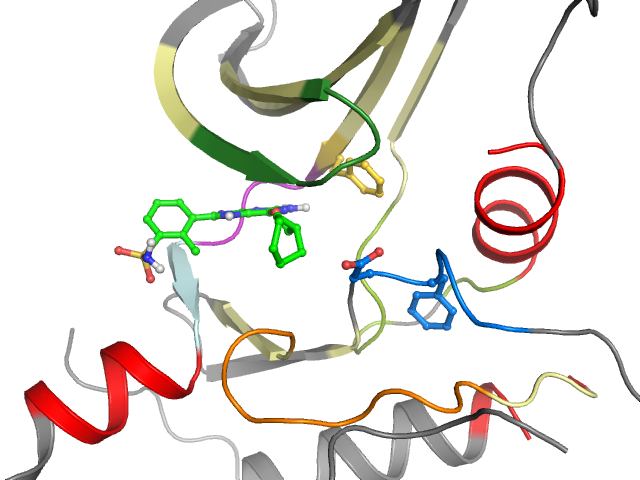 The orthosteric binding pocket