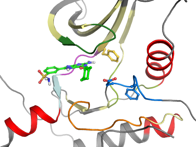 The orthosteric binding pocket