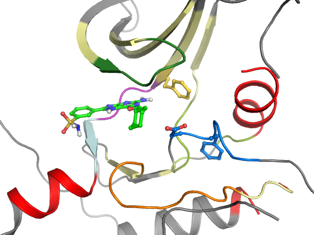 The orthosteric binding pocket