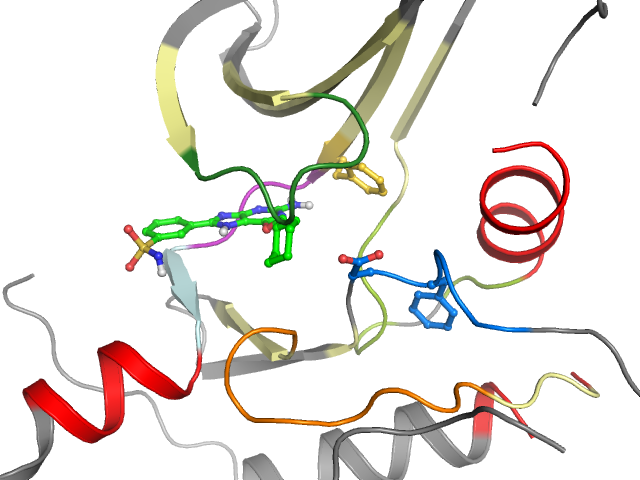 The orthosteric binding pocket