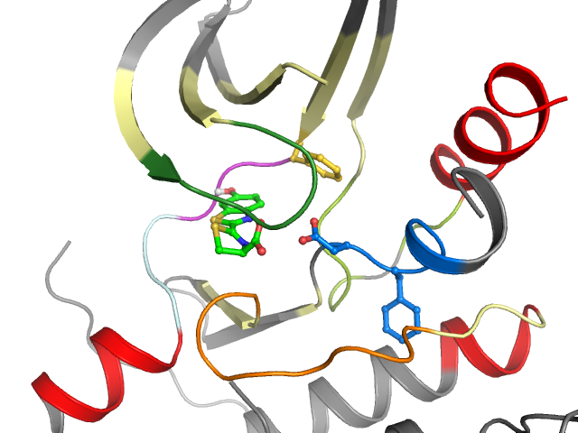 The orthosteric binding pocket