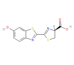 2D structure of the orthosteric ligand