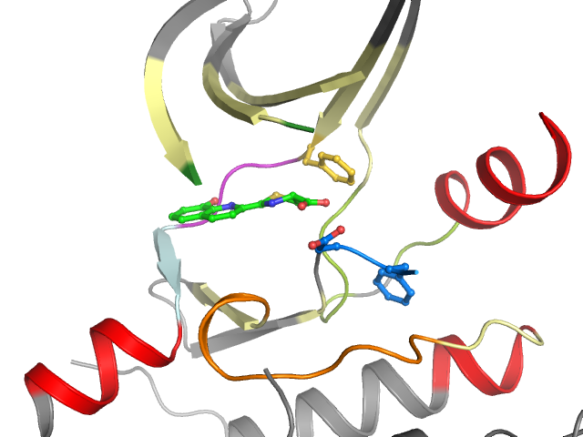 The orthosteric binding pocket