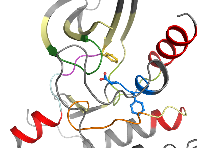 The orthosteric binding pocket