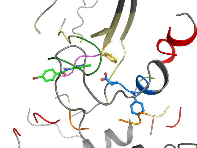 The orthosteric binding pocket