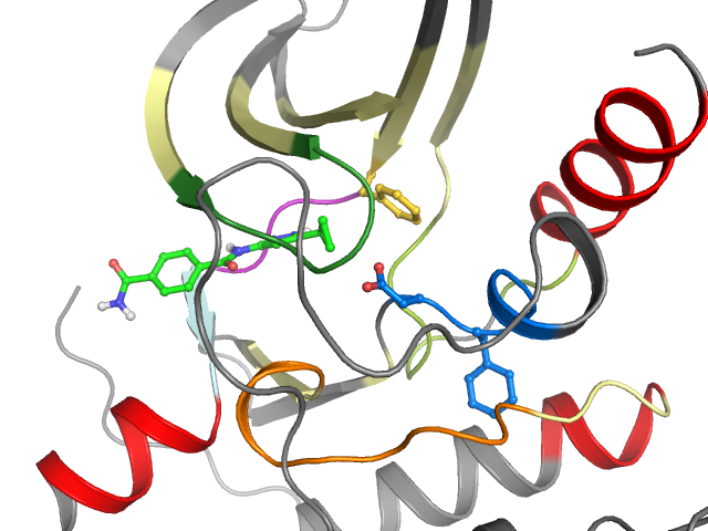 The orthosteric binding pocket