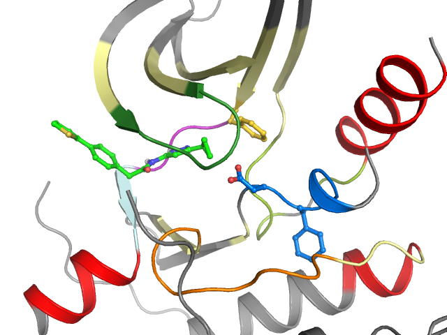 The orthosteric binding pocket
