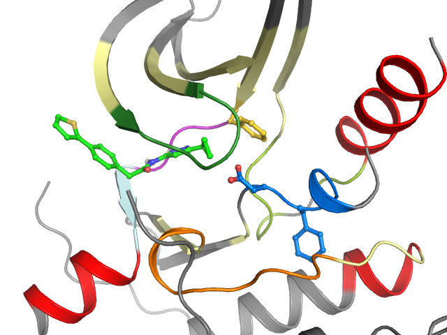 The orthosteric binding pocket