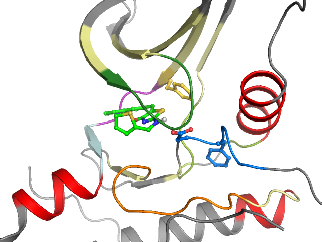 The orthosteric binding pocket