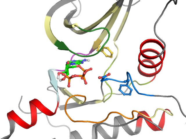 The orthosteric binding pocket
