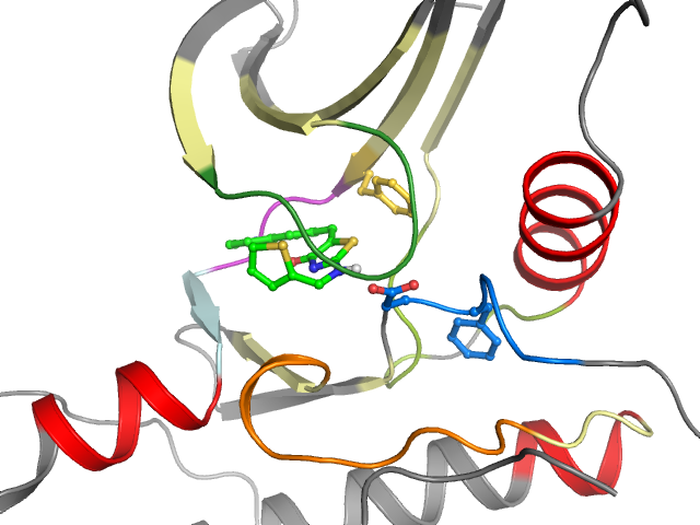 The orthosteric binding pocket