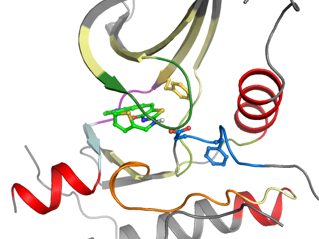 The orthosteric binding pocket