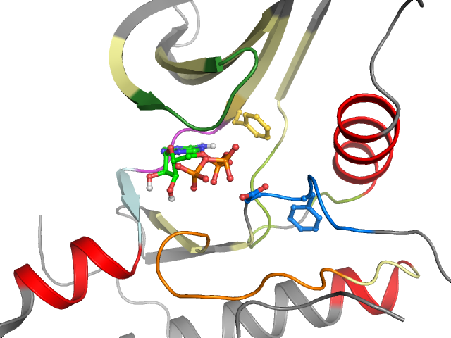 The orthosteric binding pocket