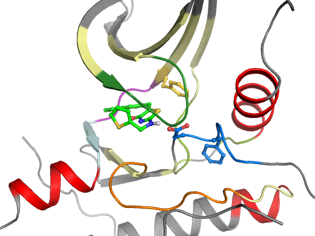 The orthosteric binding pocket