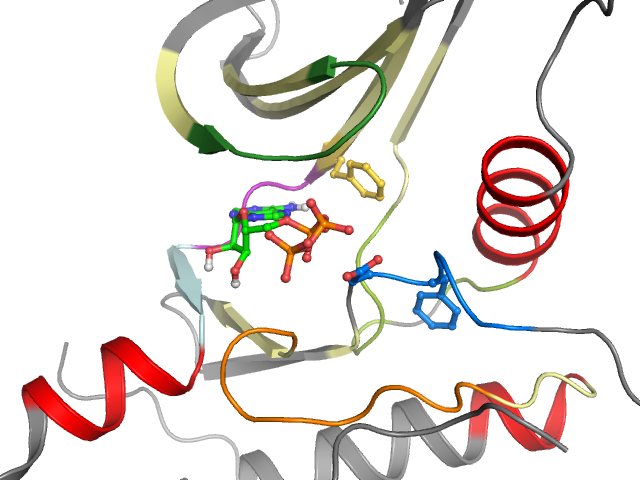 The orthosteric binding pocket