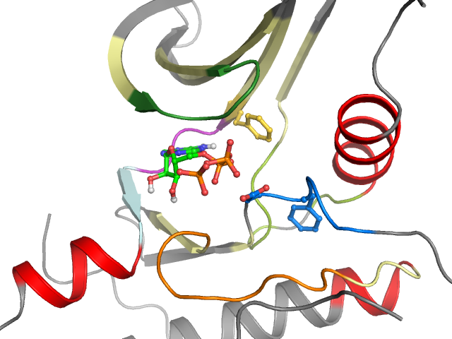 The orthosteric binding pocket