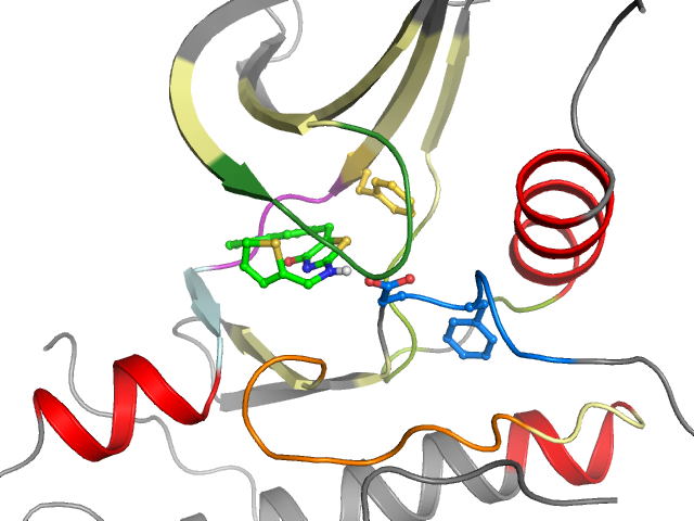 The orthosteric binding pocket