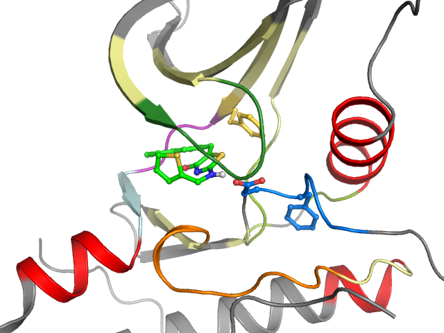 The orthosteric binding pocket