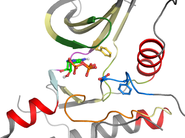 The orthosteric binding pocket