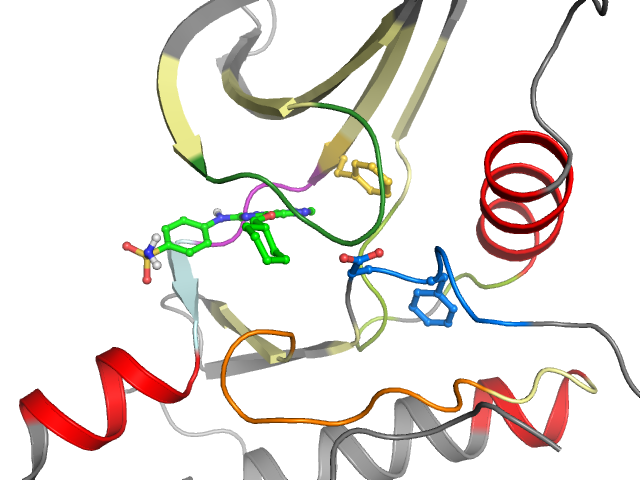 The orthosteric binding pocket