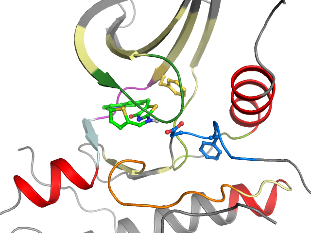 The orthosteric binding pocket