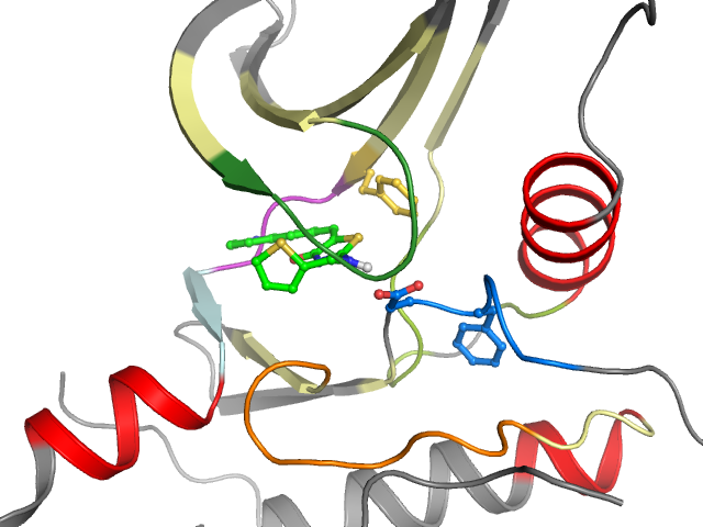 The orthosteric binding pocket