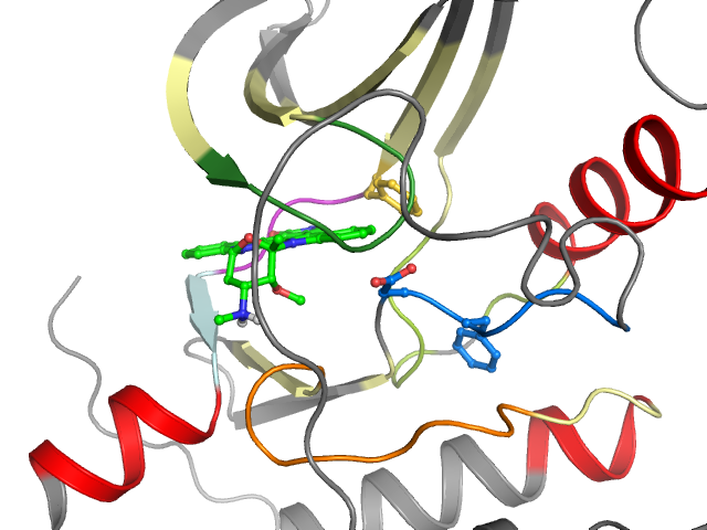 The orthosteric binding pocket