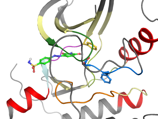 The orthosteric binding pocket