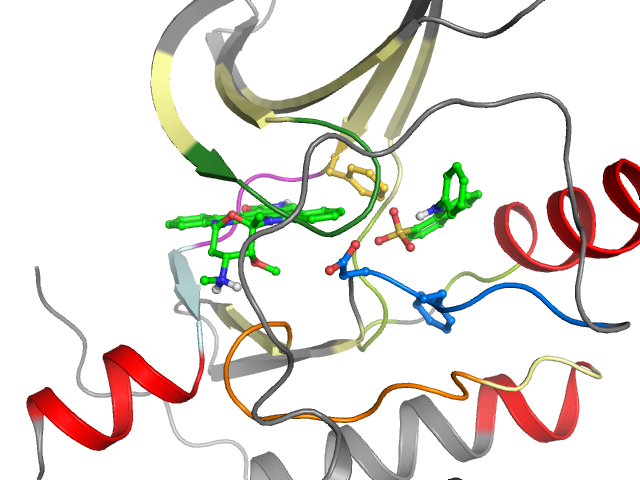 The orthosteric binding pocket