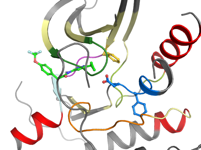 The orthosteric binding pocket