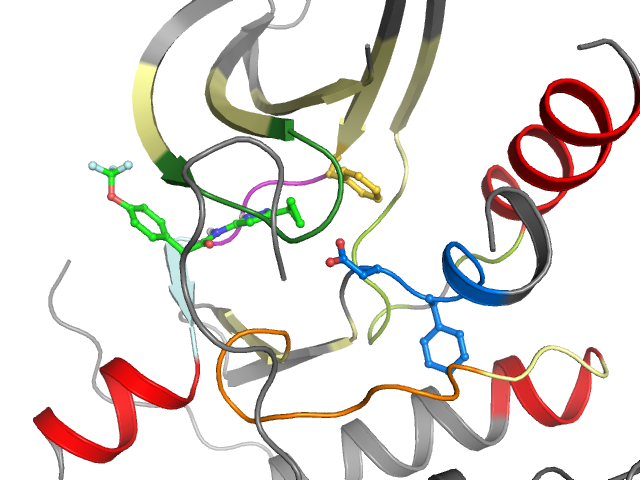 The orthosteric binding pocket