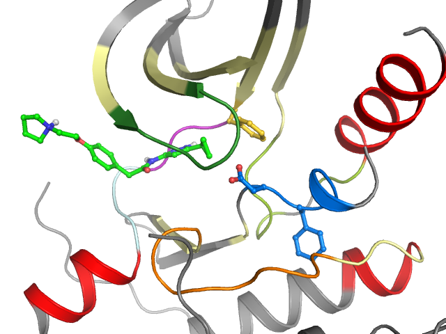 The orthosteric binding pocket