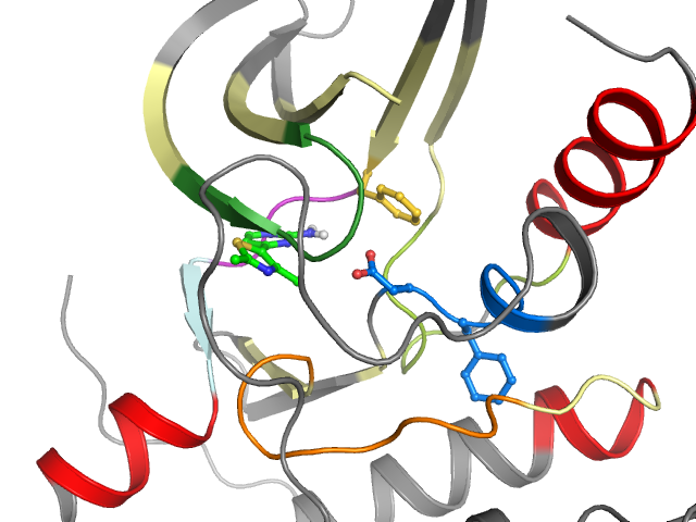 The orthosteric binding pocket