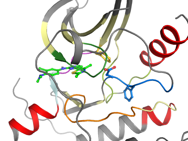The orthosteric binding pocket